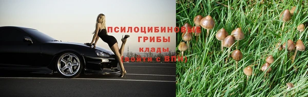 хмурый Балабаново