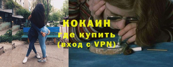 шишки Баксан